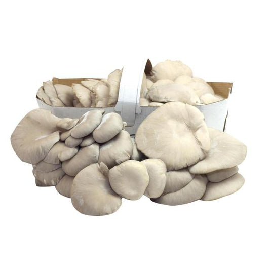 FUNGHI BIANCHI 500 g